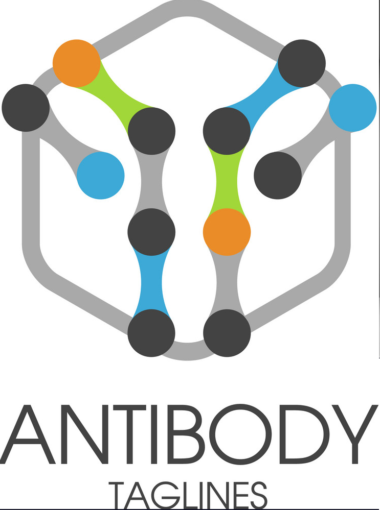 foto antibody vector